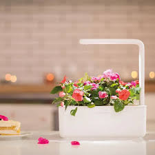 Click and Grow setup in a modern kitchen